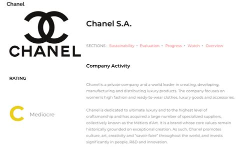 chanel esg report|Chanel sustainability issues.